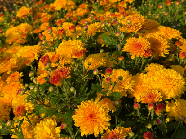 Blog post image